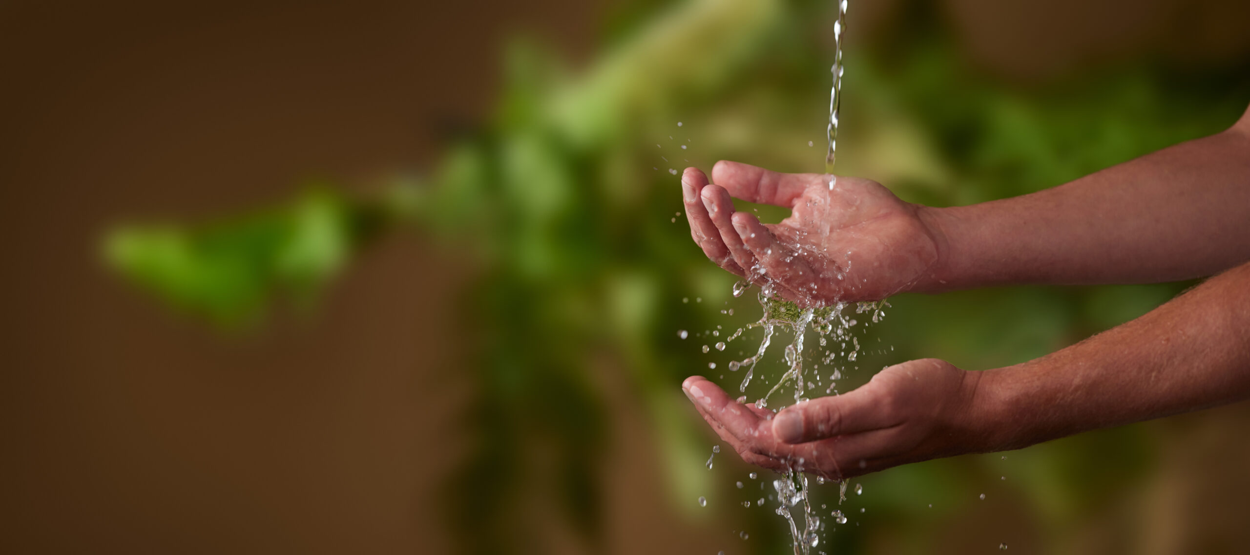 Ein Paar Hände, die vor einem verschwommenen grünen und braunen Hintergrund unter einem Wasserstrahl gehalten werden. Das Wasser spritzt, während es in die offenen Handflächen fällt.